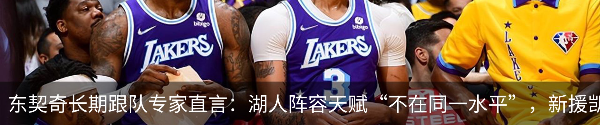 新闻动态