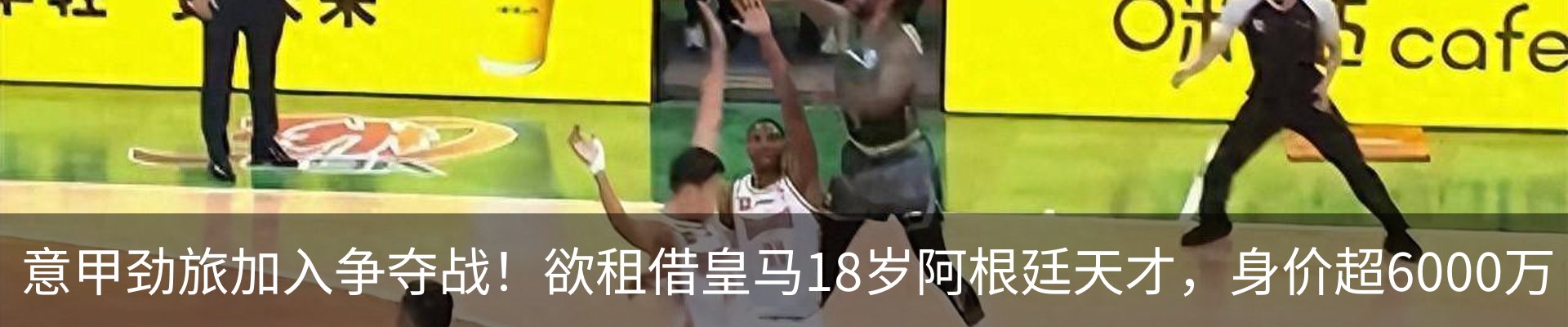 新闻动态