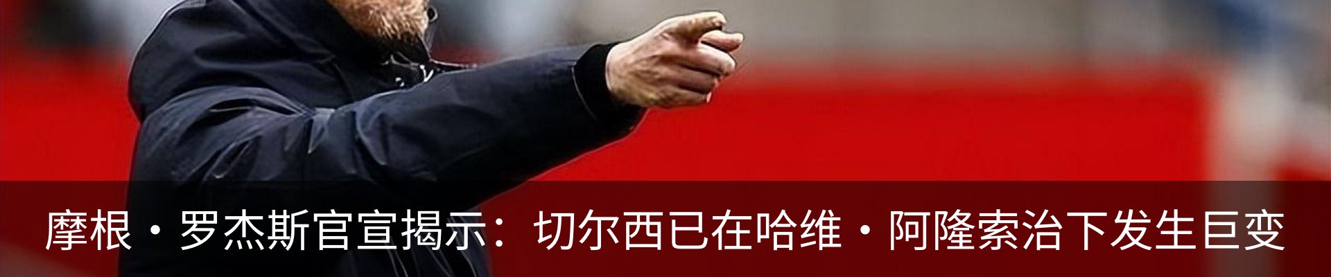 新闻动态