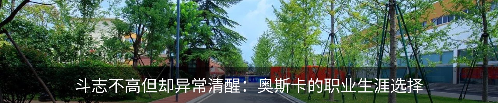 新闻动态