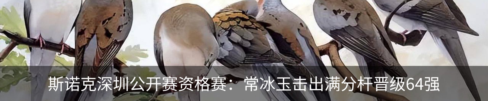 新闻动态