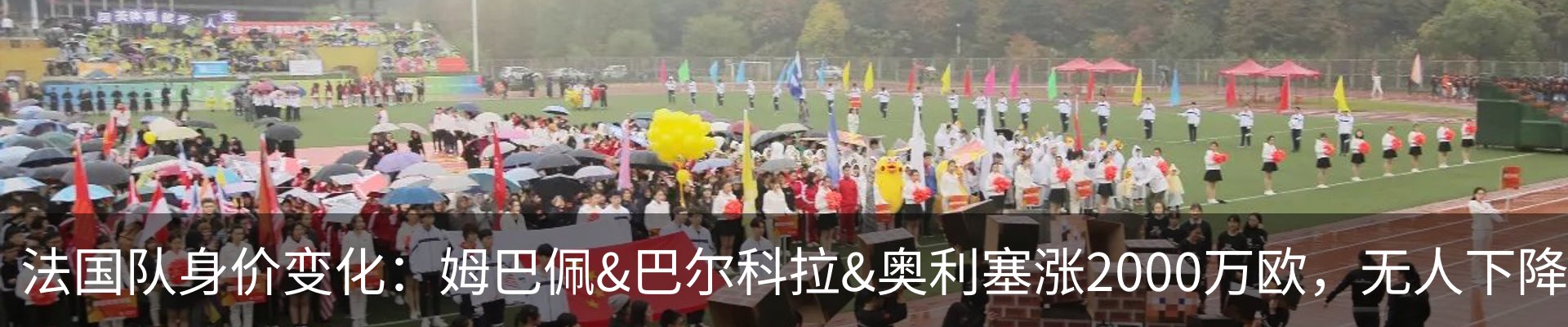 新闻动态