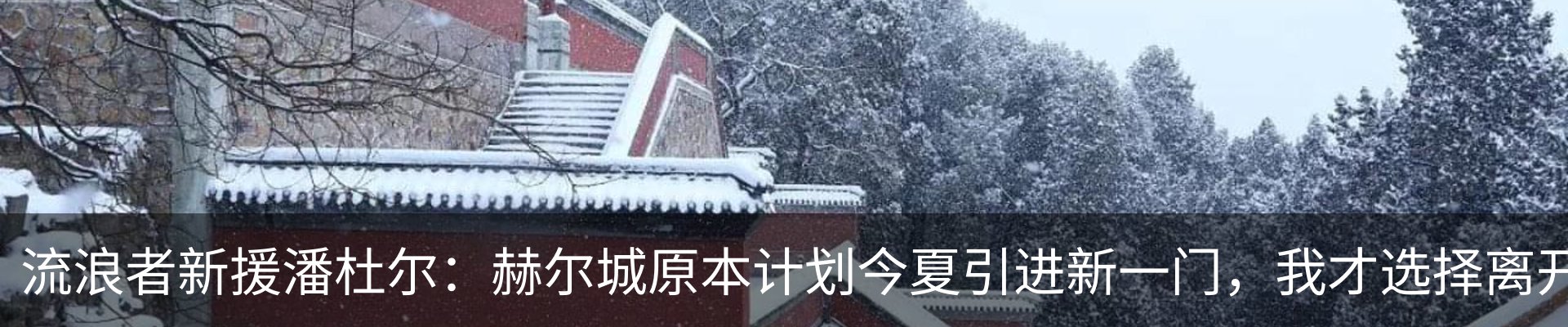 新闻动态