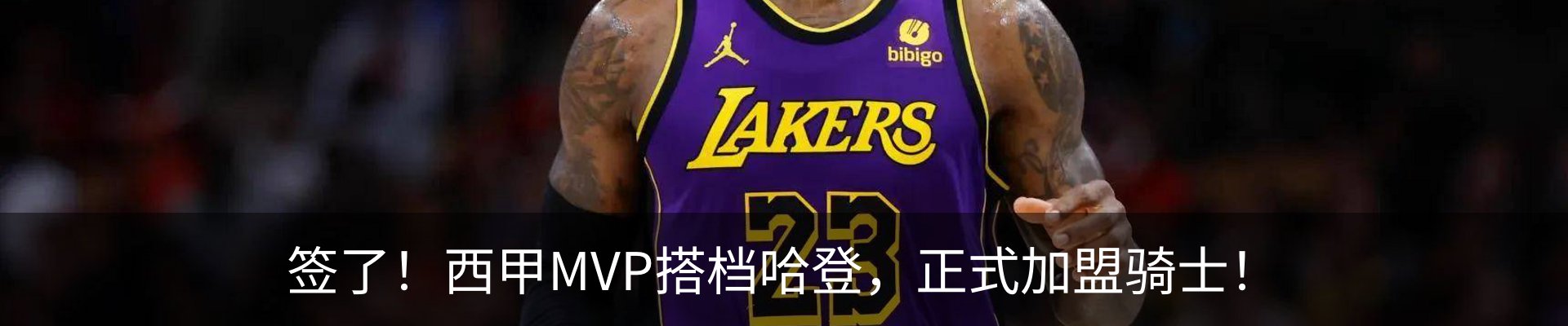 新闻动态