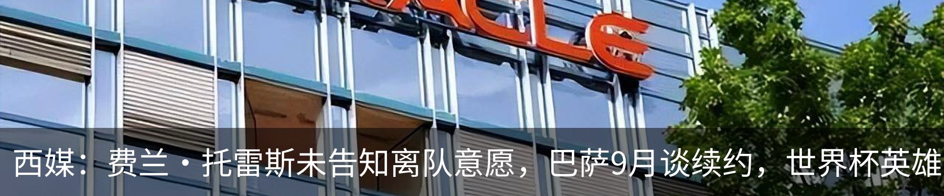 新闻动态