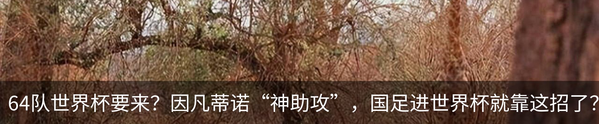 新闻动态
