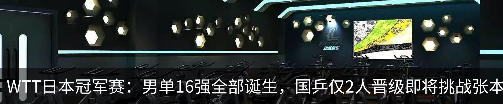 新闻动态